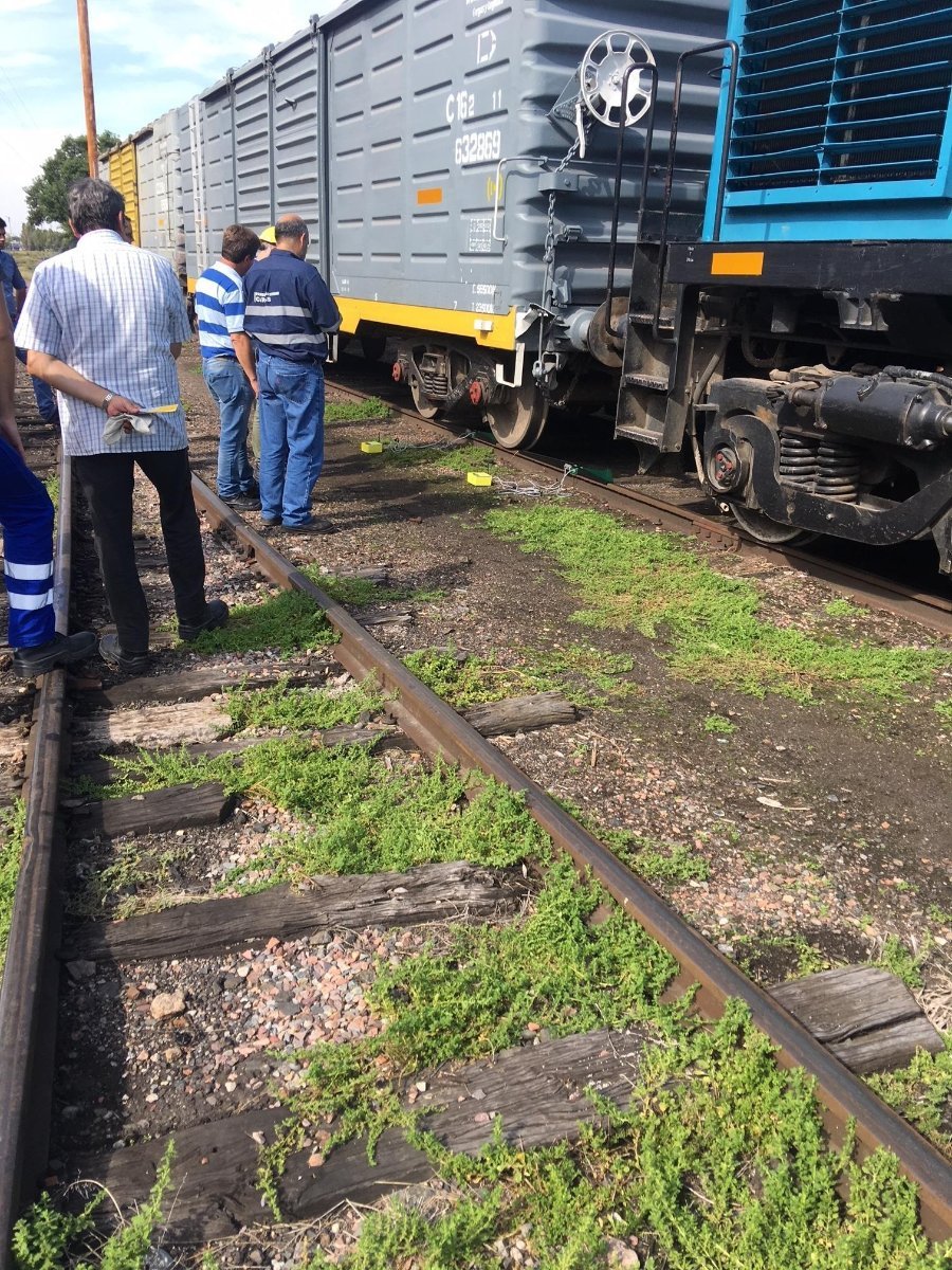trenes argentinos6