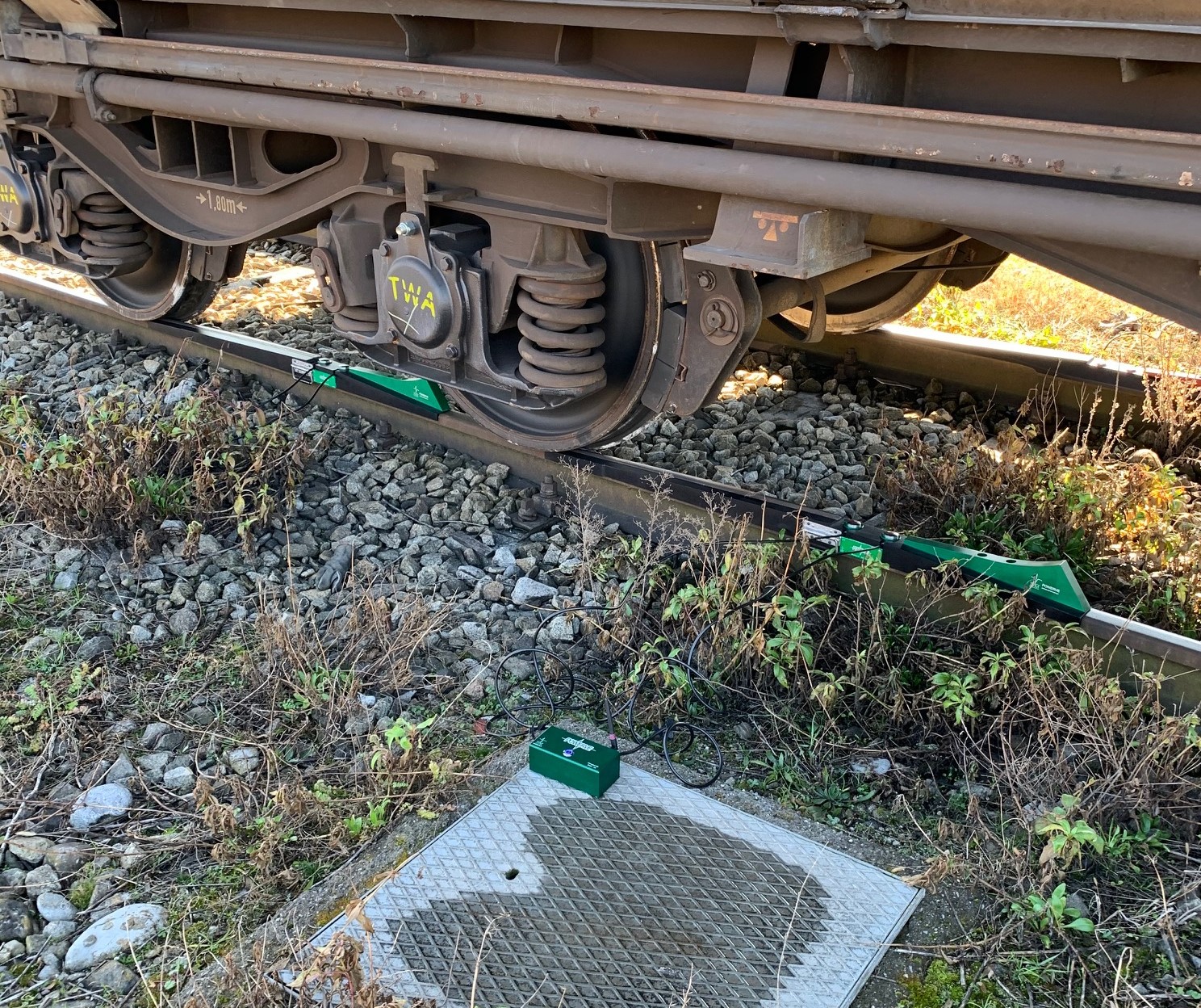 Static train weighing system - green side