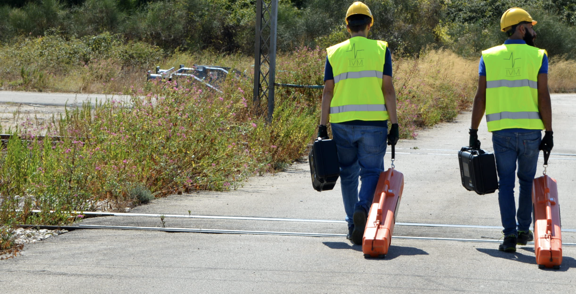 IVM staff working and walking